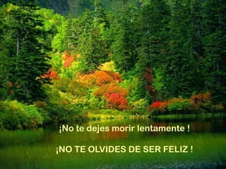 ¡No te dejes morir lentamente !

¡NO TE OLVIDES DE SER FELIZ !
 