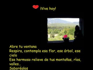 ¡Vive hoy!




Abre tu ventana
Respira, contempla esa flor, ese árbol, ese
cielo
Ese hermoso relieve de tus montañas, ríos,
valles…
Saboréalos
 