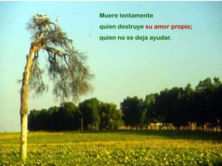 Muere lentamente
quien destruye su amor propio;
quien no se deja ayudar.
 