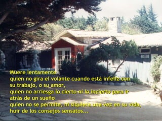 Muere lentamente quien no gira el volante cuando está infeliz con su trabajo, o su amor, quien no arriesga lo cierto ni lo incierto para ir  atrás de un sueño quien no se permite, ni siquiera una vez en su vida, huir de los consejos sensatos... 