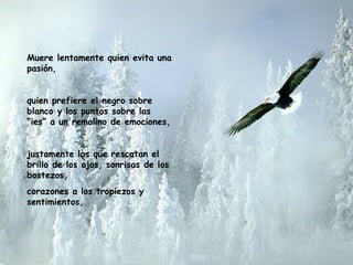 Muere lentamente quien evita una
pasión,


quien prefiere el negro sobre
blanco y los puntos sobre las
“ies” a un remolino de emociones,


justamente las que rescatan el
brillo de los ojos, sonrisas de los
bostezos,
corazones a los tropiezos y
sentimientos,
 