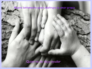 Muere lentamente quien destruye su amor propio




         Quien no se deja ayudar
 
