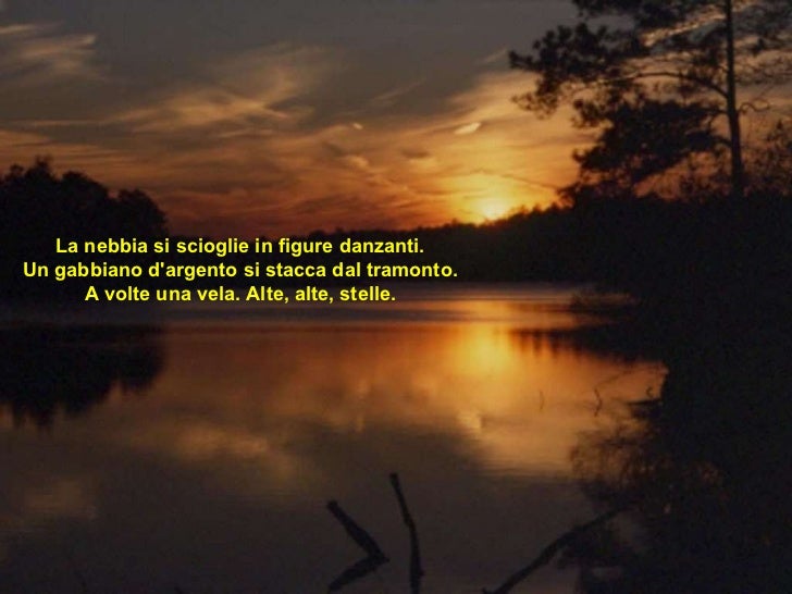 Neruda En Italiano Poema Nº 18