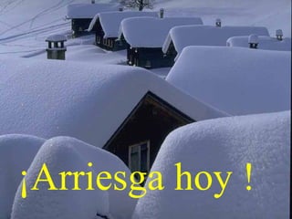 ¡Arriesga hoy ! 