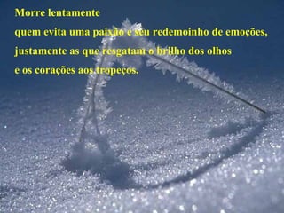 Morre lentamente quem evita uma paixão e seu redemoinho de emoções, justamente as que resgatam o brilho dos olhos e os corações aos tropeços. 