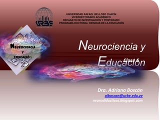 UNIVERSIDAD RAFAEL BELLOSO CHACÍN
VICERRECTORADO ACADÉMICO
DECANATO DE INVESTIGACIÓN Y POSTGRADO
PROGRAMA DOCTORAL CIENCIAS DE LA EDUCACIÓN

Neurociencia
y
Educación

Neurociencia y
Clase 6
Educación
Dra. Adriana Boscán
aiboscan@urbe.edu.ve
neurodidacticas.blogspot.com

 