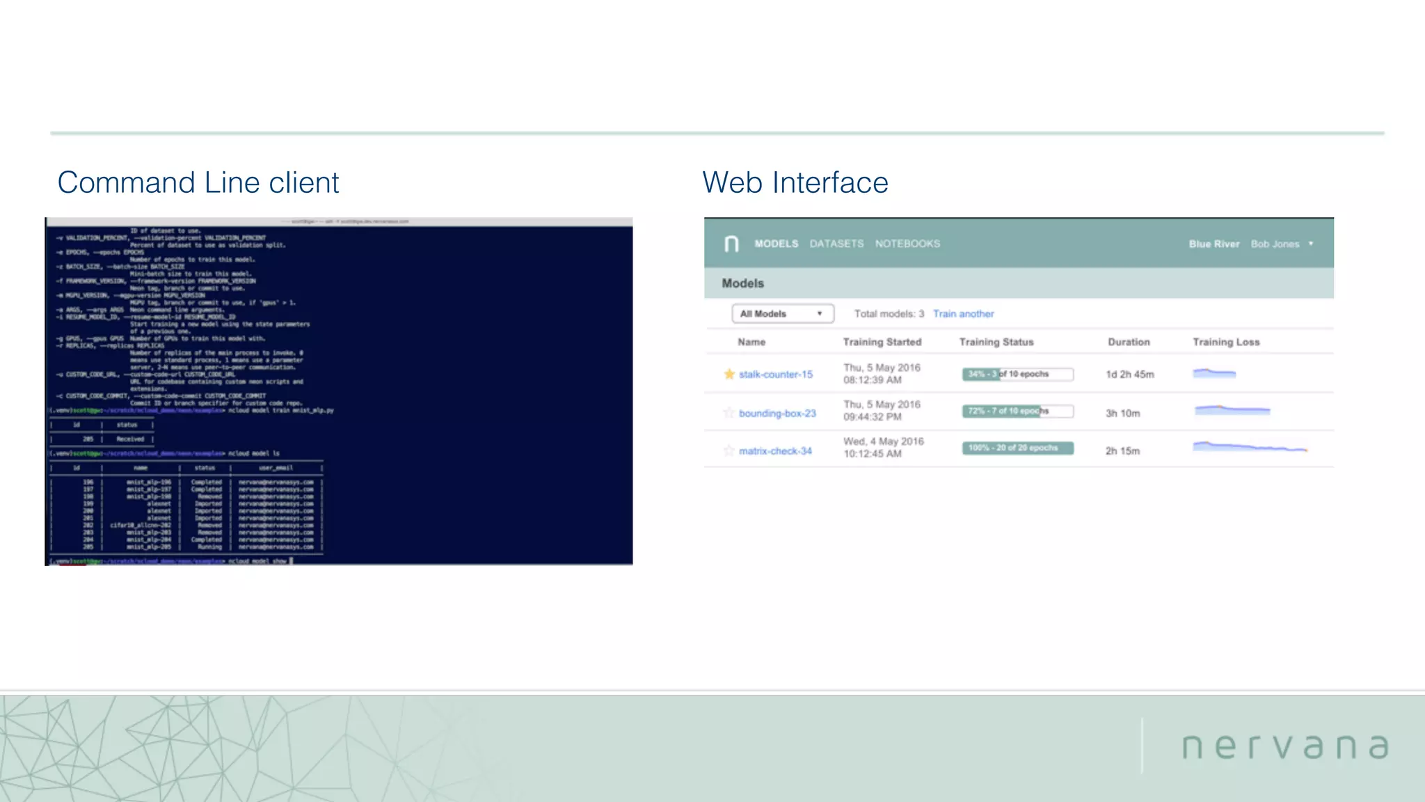 Command Line client Web Interface