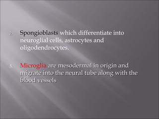 2.2. SpongioblastsSpongioblasts which differentiate into
neuroglial cells, astrocytes and
oligodendrocytes.
3. Microglia are mesodermal in origin andare mesodermal in origin and
migrate into the neural tube along with themigrate into the neural tube along with the
blood vesselsblood vessels
 