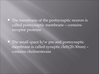  The membrane of the postsynaptic neuron is
called postsynaptic membrane – contains
receptor proteins.
 The small space b/w pre and postsynaptic
membrane is called synaptic cleft(20-30nm) –
contains cholinesterase
 