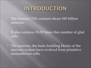  The human CNS contains about 100 billion
neurons.
 It also contains 10-50 times this number of glial
cells.
 The neurons, the basic building blocks of the
nervous system have evolved from primitive
neuroeffector cells.
 