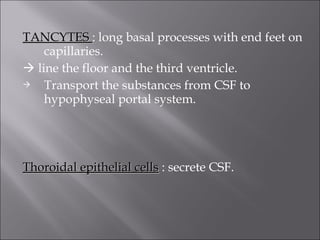 TANCYTESTANCYTES : long basal processes with end feet on
capillaries.
 line the floor and the third ventricle.
 Transport the substances from CSF to
hypophyseal portal system.
Thoroidal epithelial cellsThoroidal epithelial cells : secrete CSF.
 