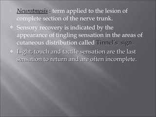  Neurotmesis :: term applied to the lesion of
complete section of the nerve trunk.
 Sensory recovery is indicated by the
appearance of tingling sensation in the areas of
cutaneous distribution called Tinnel’s sign.Tinnel’s sign.
 Light, touch and tactile sensation are the lastLight, touch and tactile sensation are the last
sensation to return and are often incomplete.sensation to return and are often incomplete.
 