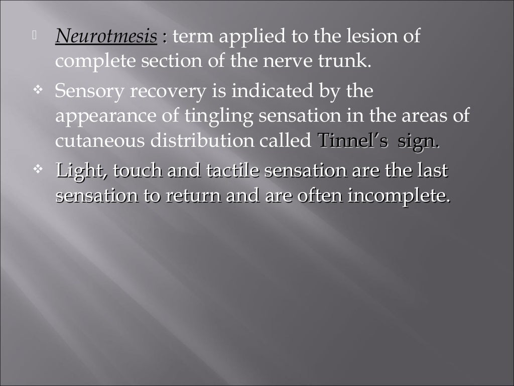 Nerve Ppt nerve-ppt