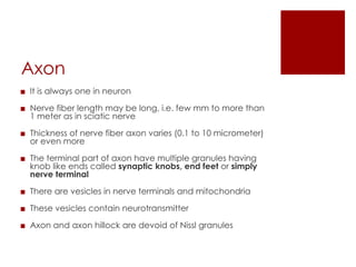 Nerve and Muscle Mbbs First Year Physiology .pdf