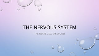 THE NERVOUS SYSTEM
THE NERVE CELL (NEURONS)
 