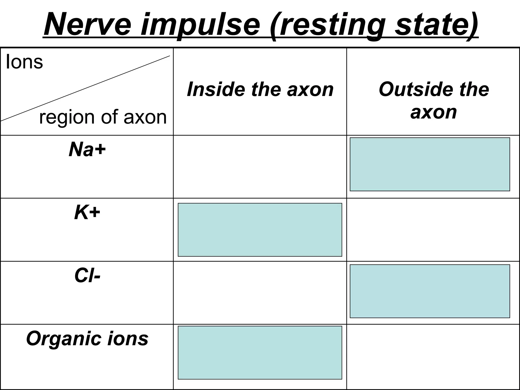 Nerve impulse (resting state) Exclusive to inside Organic ions Greater  Cl- Greater K+ Greater  Na+ Outside the axon Inside the axon Ions  region of axon 
