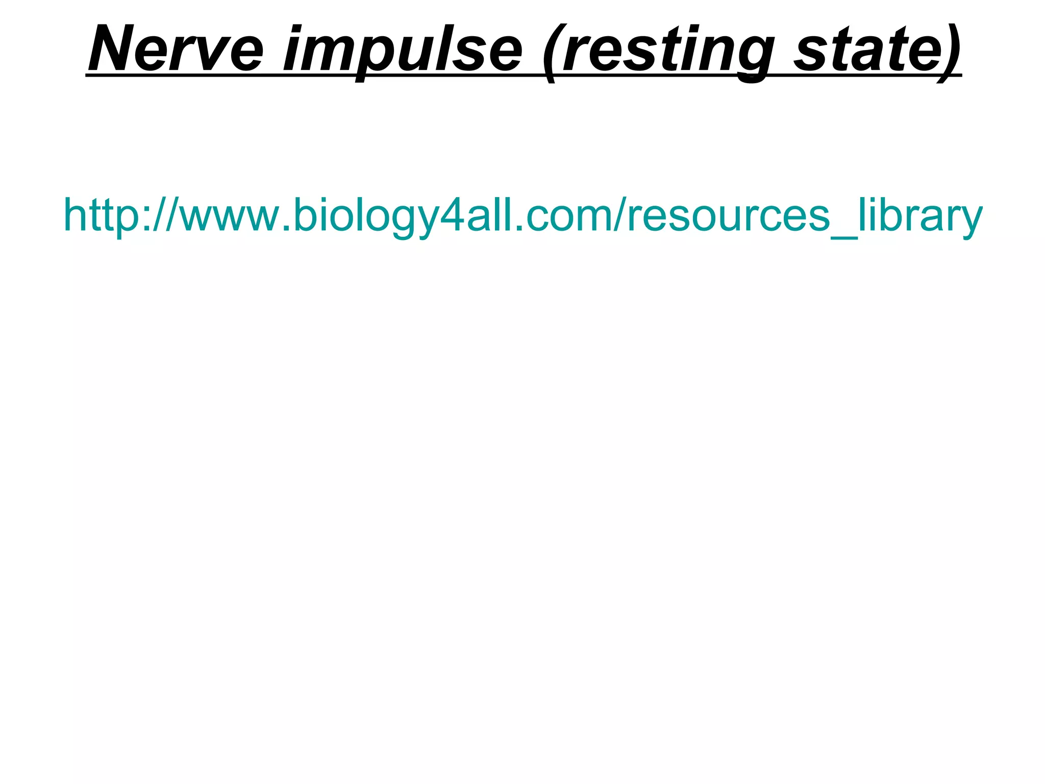 Nerve impulse (resting state) http://www.biology4all.com/resources_library/source/63.swf 