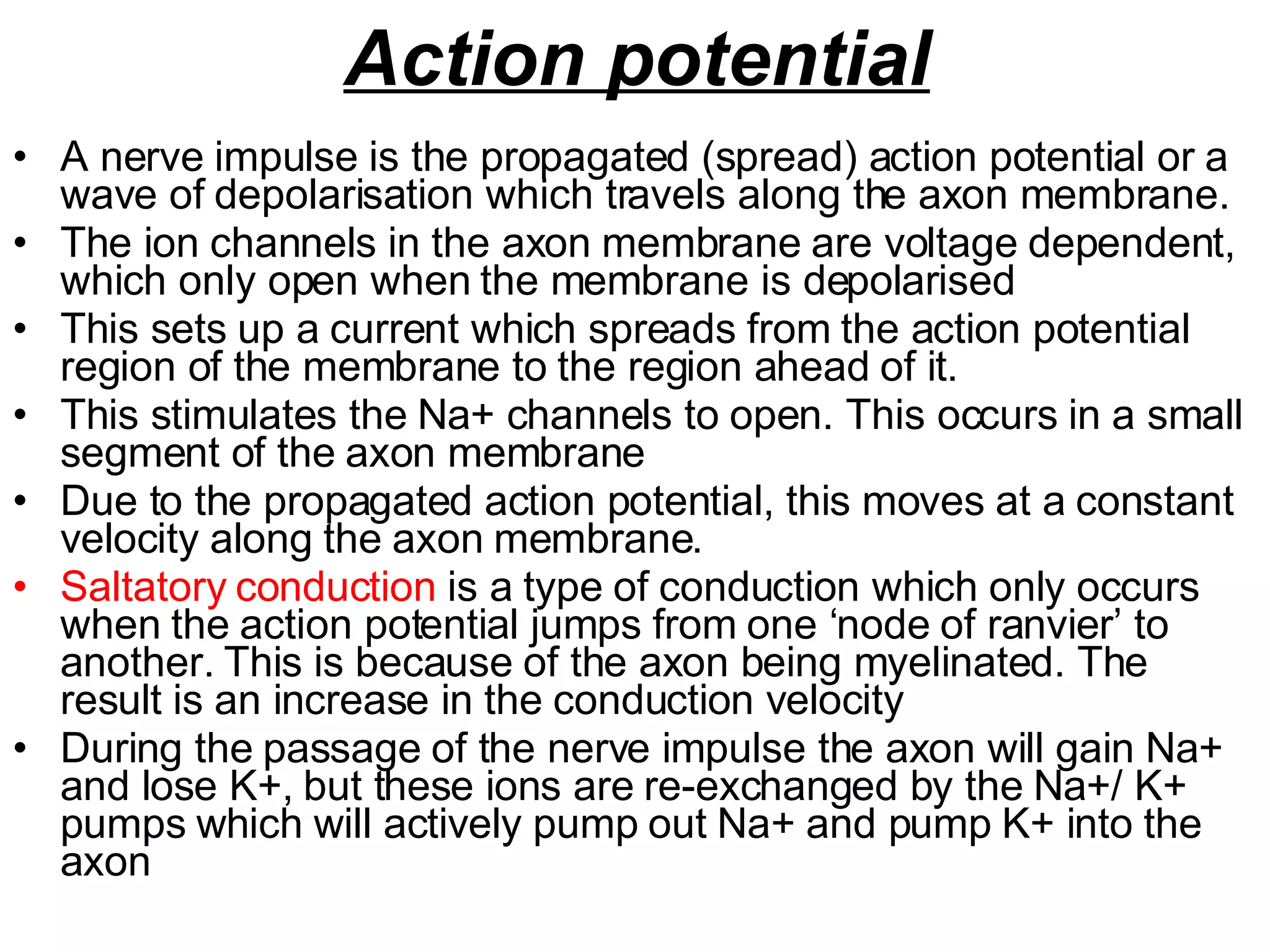 Action potential A nerve impulse is the propagated (spread) action potential or a wave of depolarisation which travels along the axon membrane. The ion channels in the axon membrane are voltage dependent, which only open when the membrane is depolarised  This sets up a current which spreads from the action potential region of the membrane to the region ahead of it. This stimulates the Na+ channels to open. This occurs in a small segment of the axon membrane Due to the propagated action potential, this moves at a constant velocity along the axon membrane.  Saltatory conduction  is a type of conduction which only occurs when the action potential jumps from one ‘node of ranvier’ to another. This is because of the axon being myelinated. The result is an increase in the conduction velocity During the passage of the nerve impulse the axon will gain Na+ and lose K+, but these ions are re-exchanged by the Na+/ K+ pumps which will actively pump out Na+ and pump K+ into the axon 