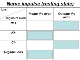 Nerve impulse (resting state) Exclusive to inside Organic ions Greater  Cl- Greater K+ Greater  Na+ Outside the axon Inside the axon Ions  region of axon 