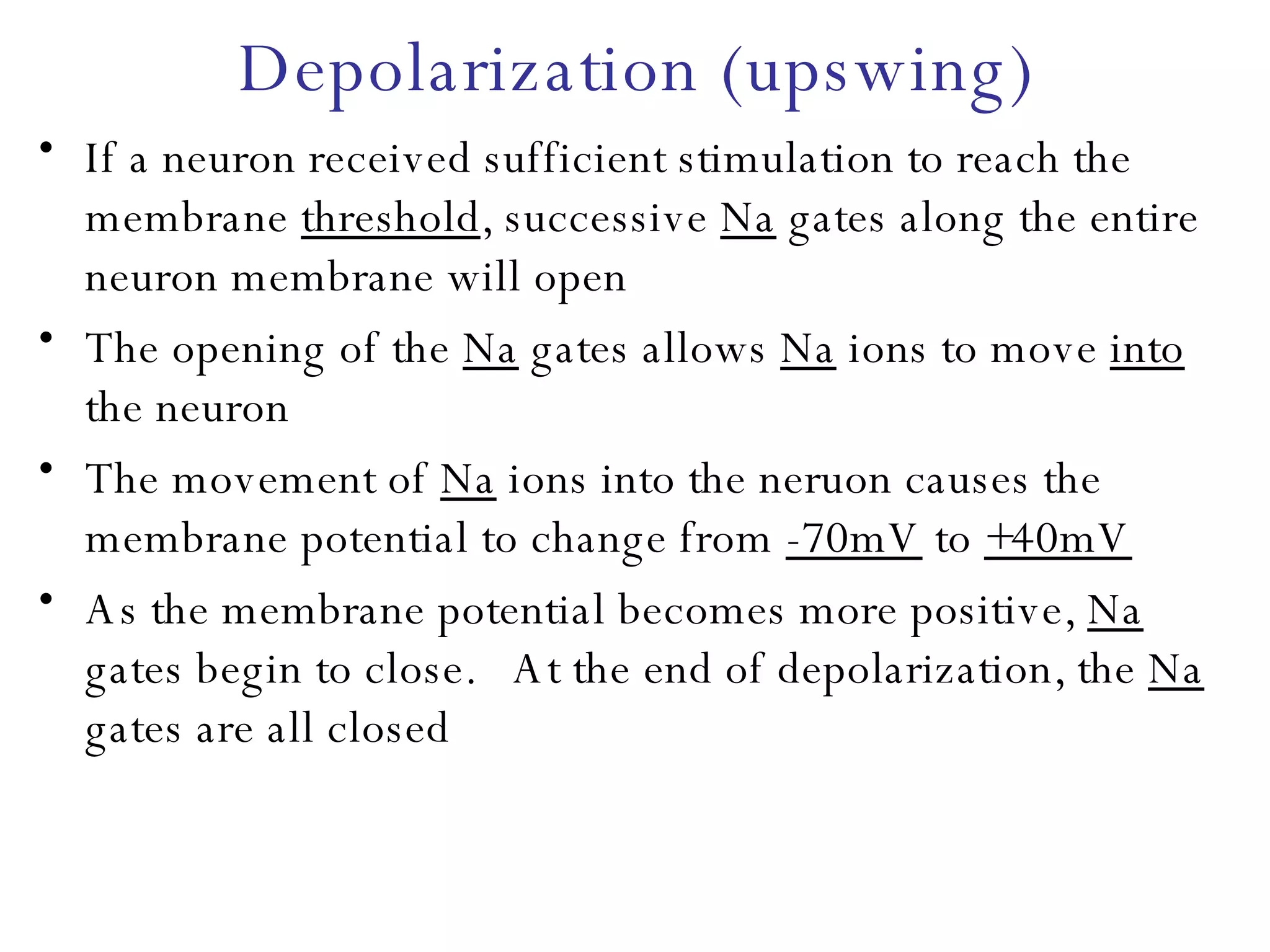 Depolarization (upswing) If a neuron received sufficient stimulation to reach the membrane  threshold , successive  Na  gates along the entire neuron membrane will open The opening of the  Na  gates allows  Na  ions to move  into  the neuron The movement of  Na  ions into the neruon causes the membrane potential to change from  -70mV  to  +40mV As the membrane potential becomes more positive,  Na  gates begin to close.  At the end of depolarization, the  Na  gates are all closed 
