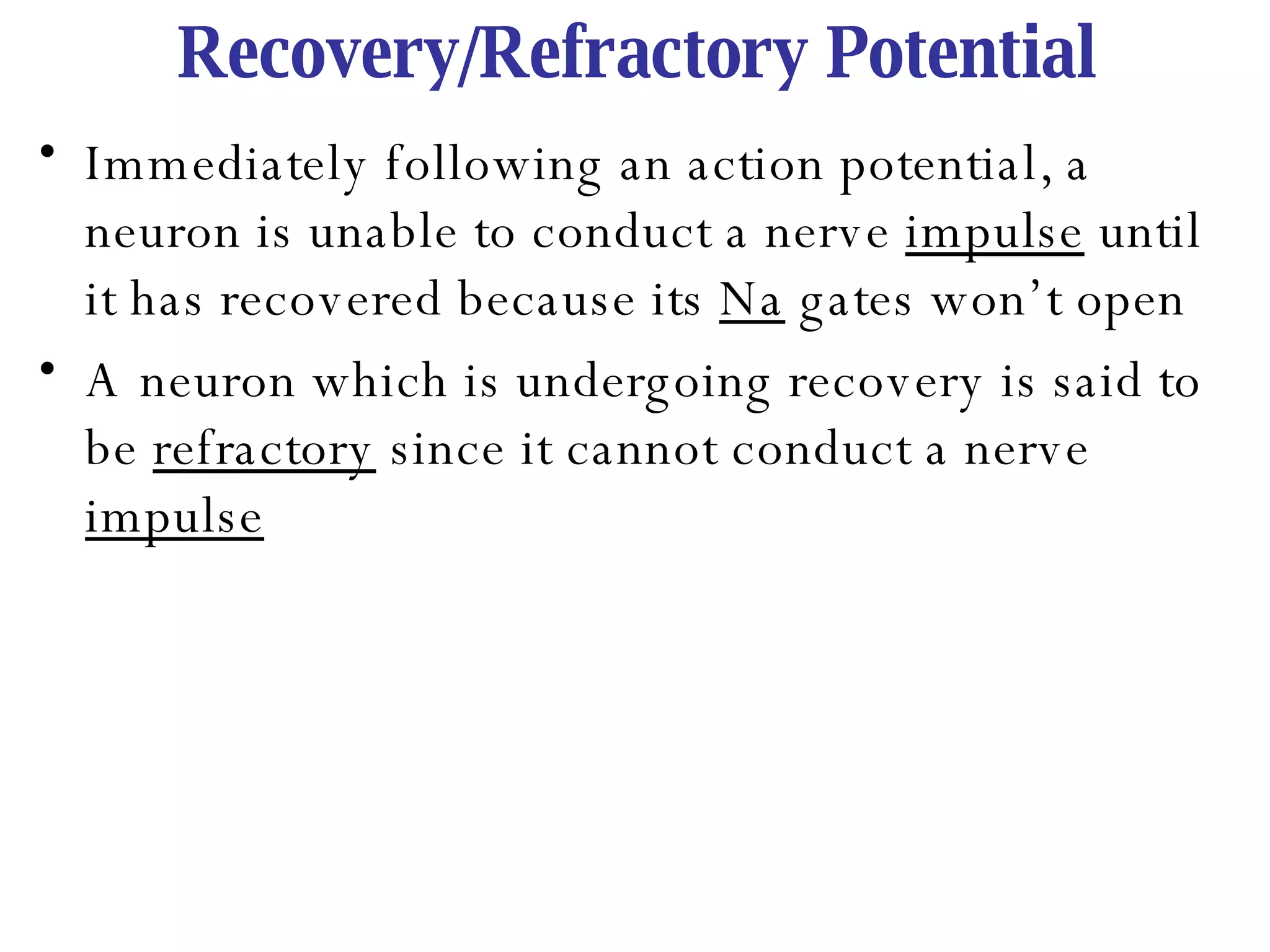 Recovery/Refractory Potential Immediately following an action potential, a neuron is unable to conduct a nerve  impulse  until it has recovered because its  Na  gates won’t open A neuron which is undergoing recovery is said to be  refractory  since it cannot conduct a nerve  impulse 