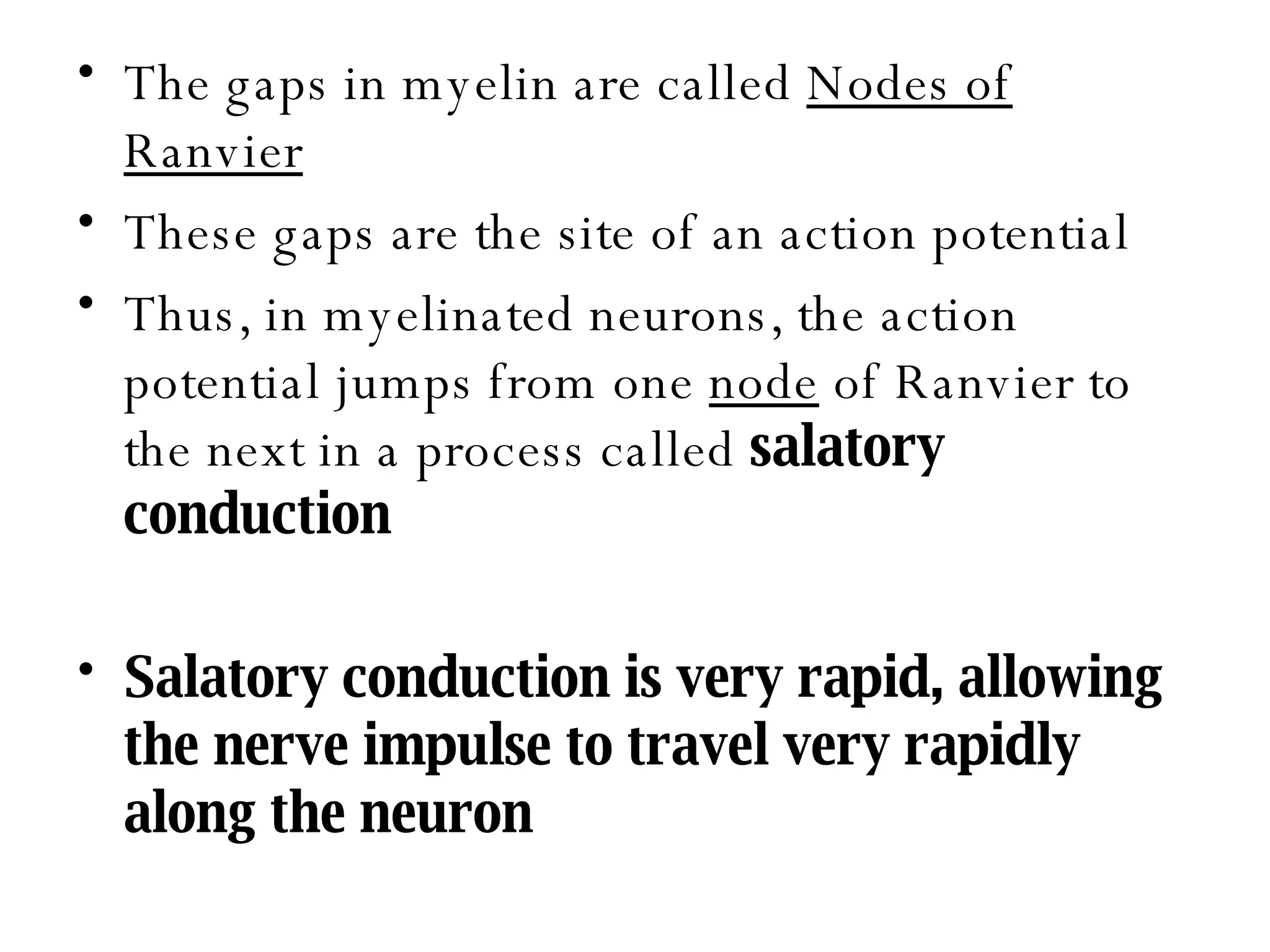 The gaps in myelin are called  Nodes of Ranvier These gaps are the site of an action potential Thus, in myelinated neurons, the action potential jumps from one  node  of Ranvier to the next in a process called  salatory conduction Salatory conduction is very rapid, allowing the nerve impulse to travel very rapidly along the neuron 