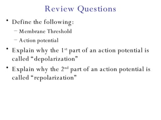 Review Questions Define the following: Membrane Threshold Action potential Explain why the 1 st  part of an action potential is called “depolarization” Explain why the 2 nd  part of an action potential is called “repolarization” 