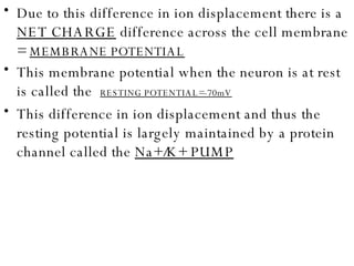 Due to this difference in ion displacement there is a  NET CHARGE  difference across the cell membrane =  MEMBRANE POTENTIAL This membrane potential when the neuron is at rest is called the  RESTING POTENTIAL=-70mV This difference in ion displacement and thus the resting potential is largely maintained by a protein channel called the  Na+/K+ PUMP 
