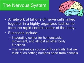 The Nervous System ,[object Object],[object Object],[object Object],[object Object]