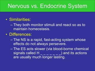 Nervous vs. Endocrine System Similarities: They both monitor stimuli and react so as to maintain homeostasis. Differences: The NS is a rapid, fast-acting system whose effects do not always persevere.  The ES acts slower (via blood-borne chemical signals called H _ _ _ _ _ _ _) and its actions are usually much longer lasting. 