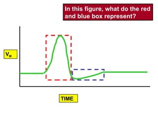TIME V M In this figure, what do the red and blue box represent? 