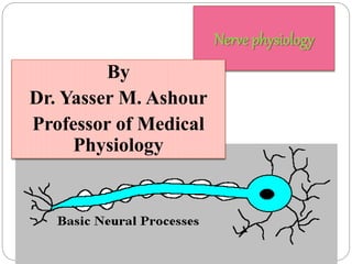 Nerve physiology
By
Dr. Yasser M. Ashour
Professor of Medical
Physiology
 
