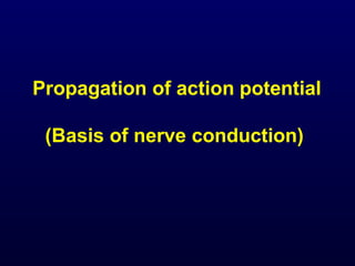 Nerve equilibrium potential , RMP and action potential | PPTX