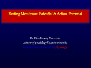 RestingMembrane Potential & Action Potential
Dr. Dina Hamdy Merzeban
Lecturer of physiology Fayoum university
www.facebook.com/merzeban physiology
 