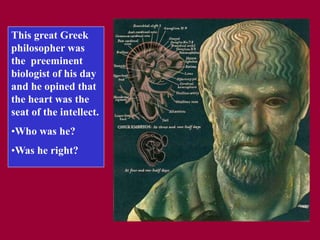 This great Greek
philosopher was
the preeminent
biologist of his day
and he opined that
the heart was the
seat of the intellect.
•Who was he?
•Was he right?
 