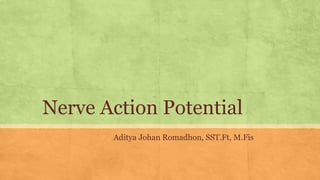 Nerve Action Potential
Aditya Johan Romadhon, SST.Ft, M.Fis
 