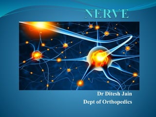 Dr Ditesh Jain
Dept of Orthopedics
 