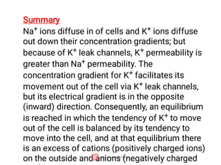 Summary
Na+ ions diffuse in of cells and K+ ions diffuse
out down their concentration gradients; but
because of K+ leak channels, K+ permeability is
greater than Na+ permeability. The
concentration gradient for K+ facilitates its
movement out of the cell via K+ leak channels,
but its electrical gradient is in the opposite
(inward) direction. Consequently, an equilibrium
is reached in which the tendency of K+ to move
out of the cell is balanced by its tendency to
move into the cell, and at that equilibrium there
is an excess of cations (positively charged ions)
on the outside and anions (negatively charged
 