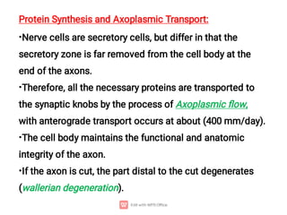 •
•
•
•
Protein Synthesis and Axoplasmic Transport:
Nerve cells are secretory cells, but differ in that the
secretory zone is far removed from the cell body at the
end of the axons.
Therefore, all the necessary proteins are transported to
the synaptic knobs by the process of Axoplasmic ﬂow,
with anterograde transport occurs at about (400 mm/day).
The cell body maintains the functional and anatomic
integrity of the axon.
If the axon is cut, the part distal to the cut degenerates
(wallerian degeneration).
 