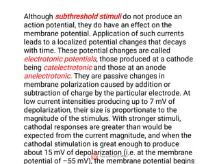 Although subthreshold stimuli do not produce an
action potential, they do have an effect on the
membrane potential. Application of such currents
leads to a localized potential changes that decays
with time. These potential changes are called
electrotonic potentials, those produced at a cathode
being catelectrotonic and those at an anode
anelectrotonic. They are passive changes in
membrane polarization caused by addition or
subtraction of charge by the particular electrode. At
low current intensities producing up to 7 mV of
depolarization, their size is proportionate to the
magnitude of the stimulus. With stronger stimuli,
cathodal responses are greater than would be
expected from the current magnitude, and when the
cathodal stimulation is great enough to produce
about 15 mV of depolarization (i.e. at the membrane
potential of –55 mV), the membrane potential begins
 