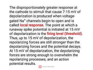 The disproportionately greater response at
the cathode to stimuli that cause 7-15 mV of
depolarization is produced when voltage-
gated Na+ channels begin to open and is
called local response. The point at which a
runaway spike potential is initiated at 15 mV
of depolarization is the ﬁring level (threshold).
Thus, up to 15 mV of depolarization, the
repolarizing forces are still stronger than the
depolarizing forces and the potential decays.
At 15 mV of depolarization, the depolarizing
forces are strong enough to overwhelm the
repolarizing processes, and an action
potential results.
 
