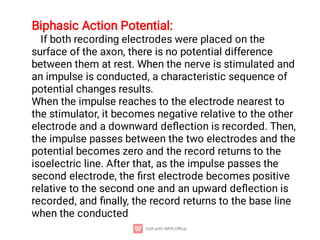 Biphasic Action Potential:
If both recording electrodes were placed on the
surface of the axon, there is no potential difference
between them at rest. When the nerve is stimulated and
an impulse is conducted, a characteristic sequence of
potential changes results.
When the impulse reaches to the electrode nearest to
the stimulator, it becomes negative relative to the other
electrode and a downward deﬂection is recorded. Then,
the impulse passes between the two electrodes and the
potential becomes zero and the record returns to the
isoelectric line. After that, as the impulse passes the
second electrode, the ﬁrst electrode becomes positive
relative to the second one and an upward deﬂection is
recorded, and ﬁnally, the record returns to the base line
when the conducted
 
