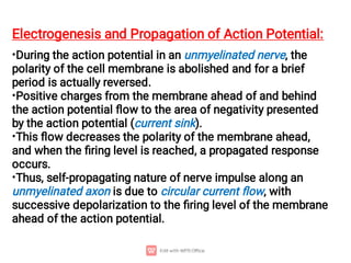 •
•
•
•
Electrogenesis and Propagation of Action Potential:
During the action potential in an unmyelinated nerve, the
polarity of the cell membrane is abolished and for a brief
period is actually reversed.
Positive charges from the membrane ahead of and behind
the action potential ﬂow to the area of negativity presented
by the action potential (current sink).
This ﬂow decreases the polarity of the membrane ahead,
and when the ﬁring level is reached, a propagated response
occurs.
Thus, self-propagating nature of nerve impulse along an
unmyelinated axon is due to circular current ﬂow, with
successive depolarization to the ﬁring level of the membrane
ahead of the action potential.
 