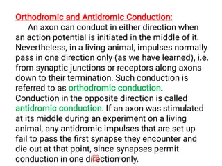Orthodromic and Antidromic Conduction:
An axon can conduct in either direction when
an action potential is initiated in the middle of it.
Nevertheless, in a living animal, impulses normally
pass in one direction only (as we have learned), i.e.
from synaptic junctions or receptors along axons
down to their termination. Such conduction is
referred to as orthodromic conduction.
Conduction in the opposite direction is called
antidromic conduction. If an axon was stimulated
at its middle during an experiment on a living
animal, any antidromic impulses that are set up
fail to pass the ﬁrst synapse they encounter and
die out at that point, since synapses permit
conduction in one direction only.
 