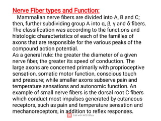 Nerve Fiber types and Function:
Mammalian nerve ﬁbers are divided into A, B and C;
then, further subdividing group A into α, β, γ and δ ﬁbers.
The classiﬁcation was according to the functions and
histologic characteristics of each of the families of
axons that are responsible for the various peaks of the
compound action potential.
As a general rule: the greater the diameter of a given
nerve ﬁber, the greater its speed of conduction. The
large axons are concerned primarily with proprioceptive
sensation, somatic motor function, conscious touch
and pressure; while smaller axons subserve pain and
temperature sensations and autonomic function. An
example of small nerve ﬁbers is the dorsal root C ﬁbers
which conduct most impulses generated by cutaneous
receptors, such as pain and temperature sensation and
mechanoreceptors, in addition to reﬂex responses.
 