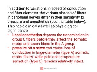 •
•
In addition to variations in speed of conduction
and ﬁber diameter, the various classes of ﬁbers
in peripheral nerves differ in their sensitivity to
pressure and anesthetics (see the table below).
This has a clinical as well as physiological
signiﬁcance:
Local anesthetics depress the transmission in
group C ﬁbers before they affect the somatic
motor and touch ﬁbers in the A group.
pressure on a nerve can cause loss of
conduction in large-diameter (type A) somatic
motor ﬁbers, while pain and temperature
sensation (type C) remains relatively intact.
 