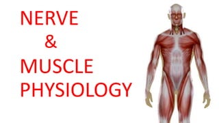 NERVE
&
MUSCLE
PHYSIOLOGY
 