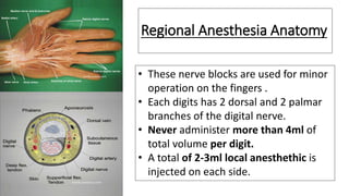 Peripheral Nerve block(ankle block,wrist block, digital block) | PPTX