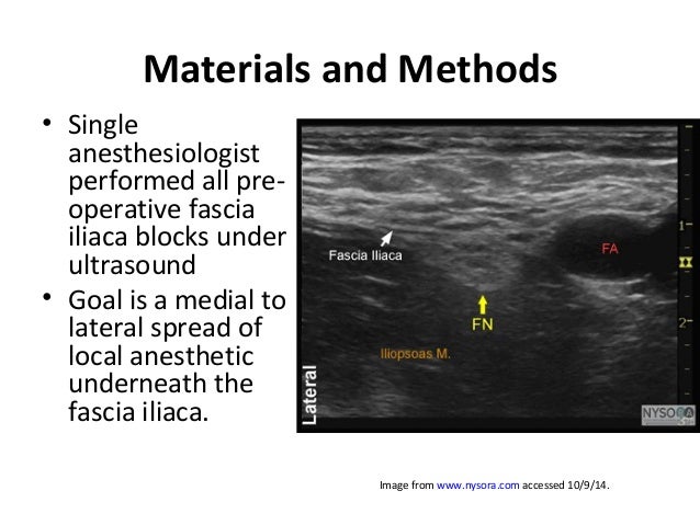 nerve block for hip arthrsocopy: rio de janeiro 2014 nerve block for hip arthrsocopy: rio de janeiro 2014, Muscles