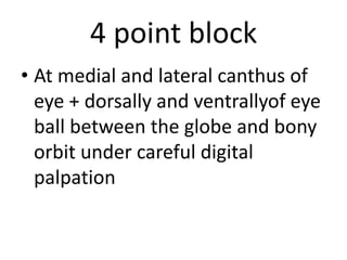 NERVE BLOCK IN EQUINE HEAD | PPTX